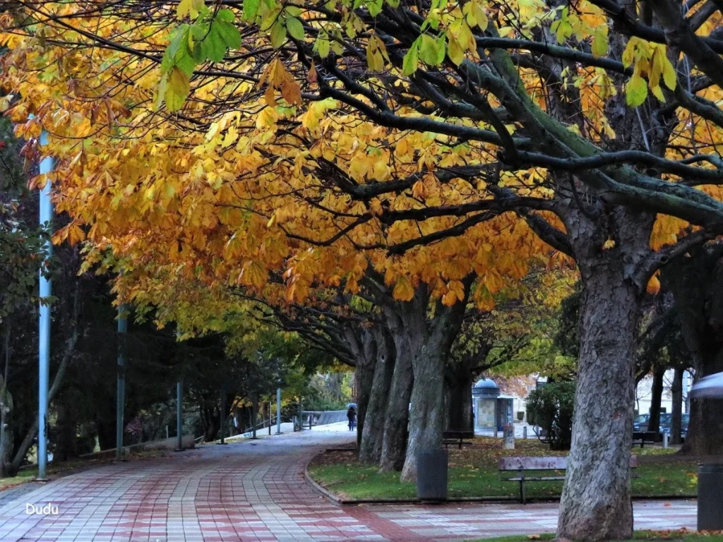 Paseo de la Condesa de Sagasta en León junto al Bernesga